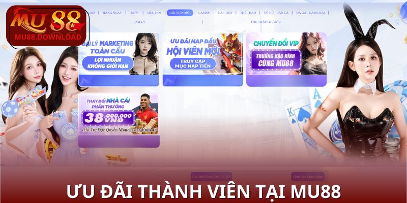 Các gói ưu đãi nổi bật được nhiều người lựa chọn