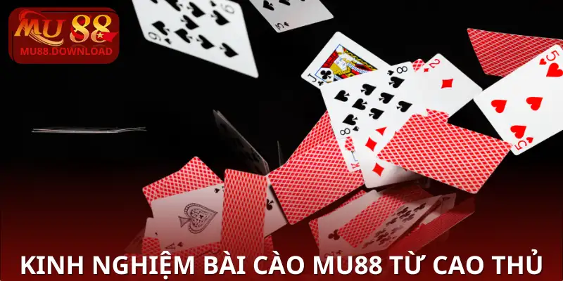 Kinh nghiệm Bài Cào MU88 từ cao thủ
