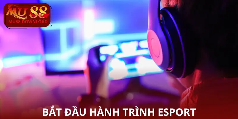 Hướng dẫn khởi đầu cá cược