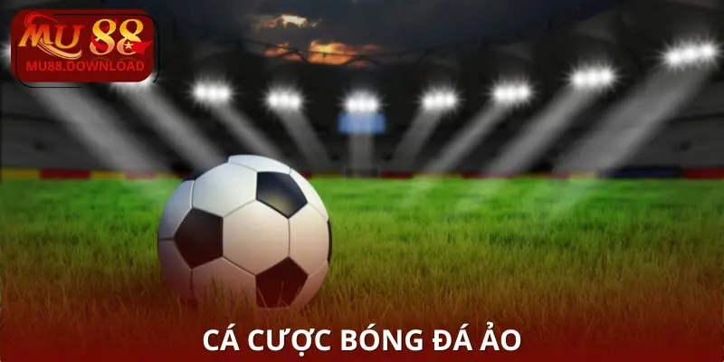 ca-cuoc-bong-da-ao