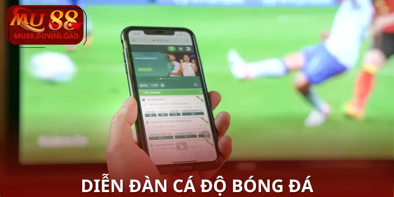 dien-dan-ca-do-bong-da (1)