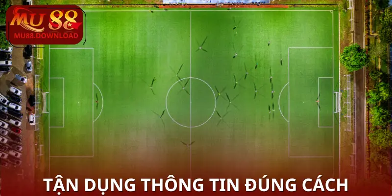 dien-dan-ca-do-bong-da (4)